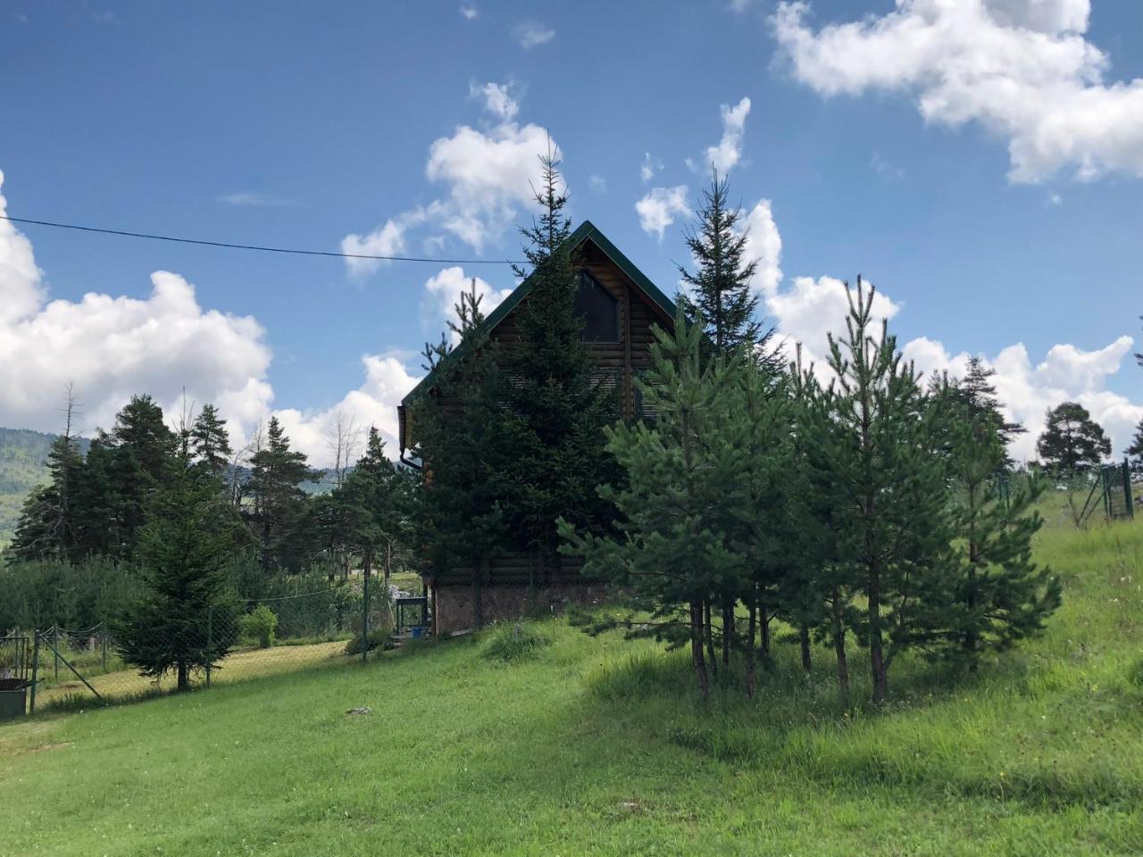 דירות זבליאק Kuca U Borju - House In Pines מראה חיצוני תמונה